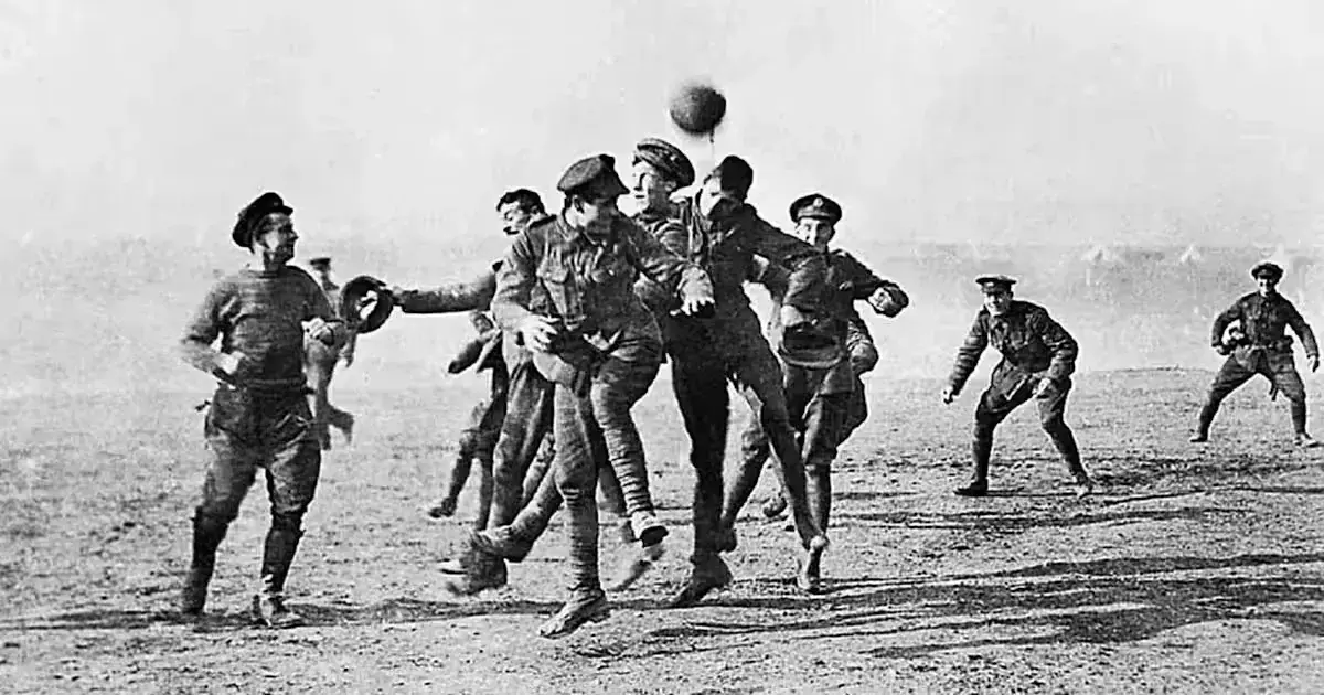 Not Wired For Violence